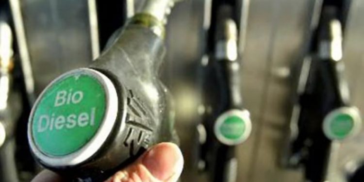Biodiesel negociacion precio