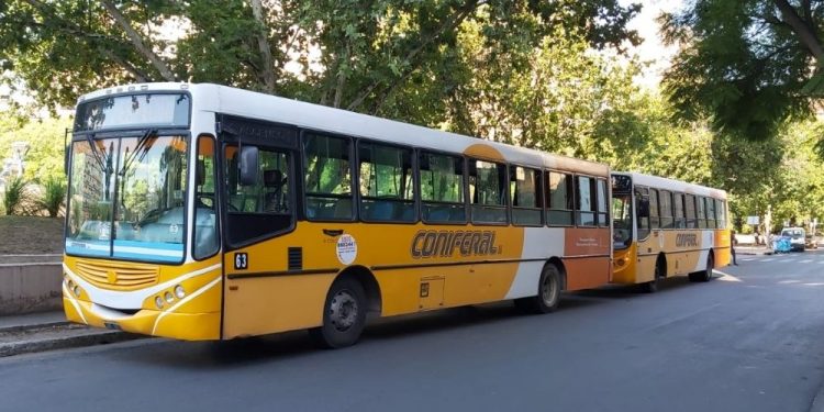 Colectivos omnibus transporte urbano