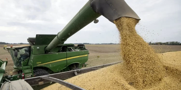 El gobierno busca acelerar la venta la cosecha soja