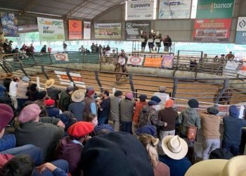 Whatsapp image 2019 03 10 at 6.40.57 pm