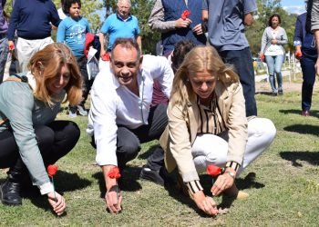 Whatsapp image 2019 03 22 at 12.06.10 pm