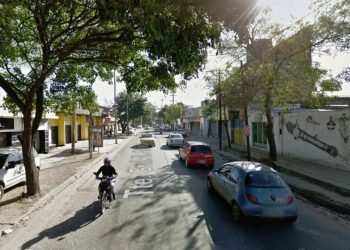 Donate alvarez 1551708052