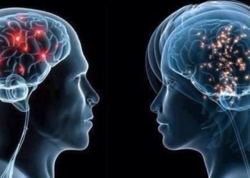 Descodificación biológica