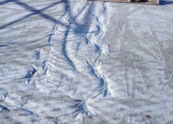 Whatsapp image 2019 04 10 at 11.13.04 am