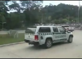 Multimedia.grande.89fb929e31f57536.62756c6c726963682073616c74615f6772616e64652e6a7067