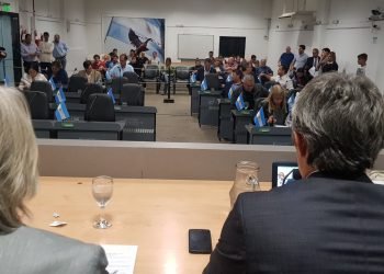 Multimedia.normal.877e69c92d505817.436f6e63656a6f2064656c69626572616e74655f6e6f726d616c2e6a7067