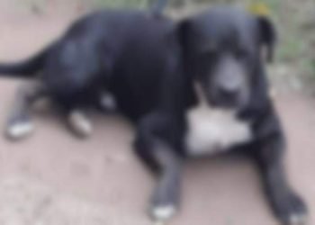 20190506191541 37532567 0 body