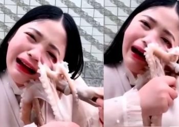 Bloguera china pulpo