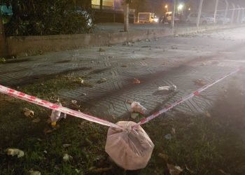 Gentileza leo guevara