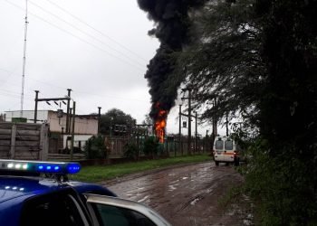 Whatsapp image 2019 05 09 at 12.44.44 pm