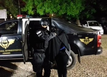 Multimedia.normal.a287b202a14dcd1a.6670612070696c61725f6e6f726d616c2e6a706567