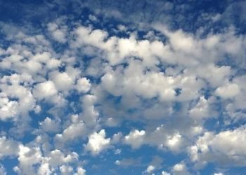 20190103115322 35825748 0 body