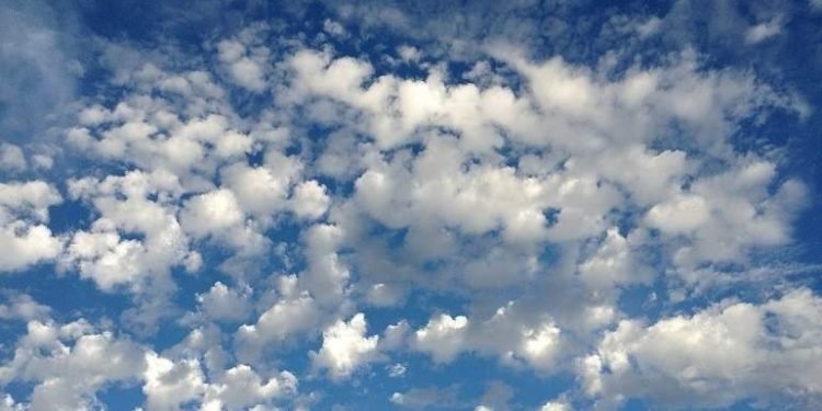 20190103115322 35825748 0 body