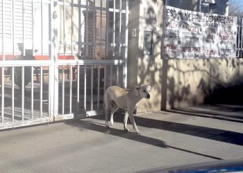 Whatsapp image 2019 06 27 at 10.06.17