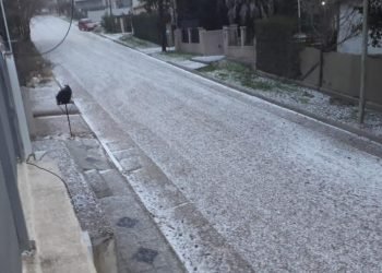 36f1f520 55a8 4224 9120 66c8f4e91ea0 1563795087