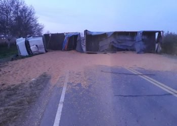 Whatsapp image 2019 07 11 at 9.10.27 am