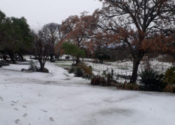 Whatsapp image 2019 07 25 at 9.47.51 am (1)