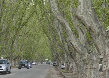 Colonia caroya gentileza de voy de viaje