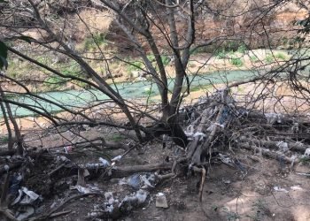 Foto twitter javier sassi