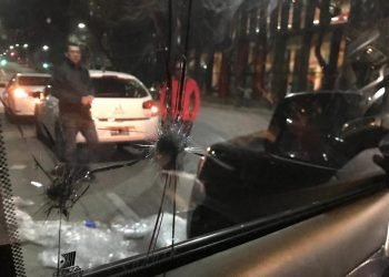 Gentileza cronica tv