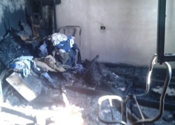 Gentileza diario primer informe