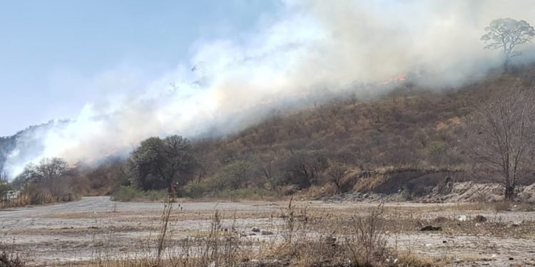 Gentileza fuego cba