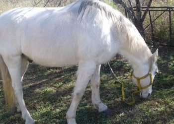 Whatsapp image 2019 08 03 at 8.31.53 am