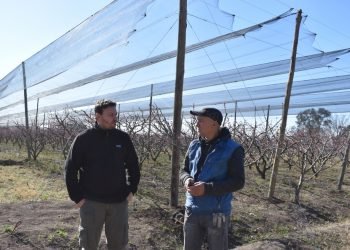 Whatsapp image 2019 08 08 at 9.18.57 am