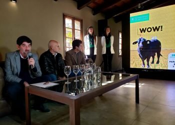 Whatsapp image 2019 08 15 at 5.09.34 pm