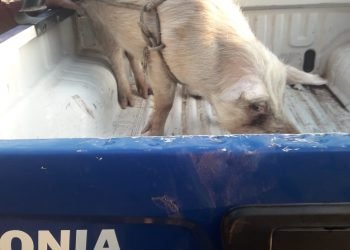 Whatsapp image 2019 08 20 at 9.30.08 am (1)