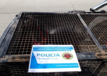 Whatsapp image 2019 09 04 at 7.47.21 am