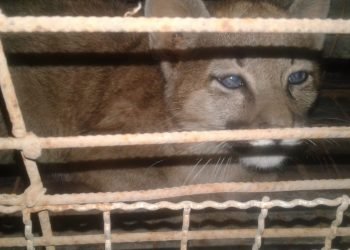 Whatsapp image 2019 09 08 at 1.45.08 pm