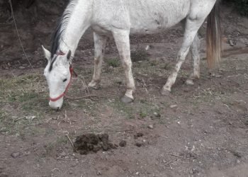 Whatsapp image 2019 09 10 at 8.52.50 am