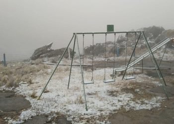 72552715 10221011892505710 1967798386887229440 n