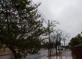 Whatsapp image 2019 10 03 at 8.36.07 am