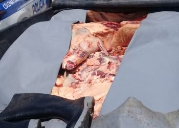 Whatsapp image 2019 10 10 at 7.59.53 am