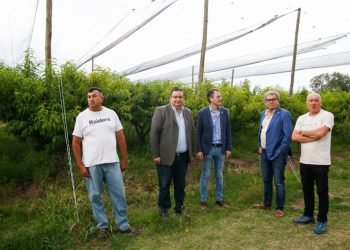 Whatsapp image 2019 11 21 at 10.51.08 am