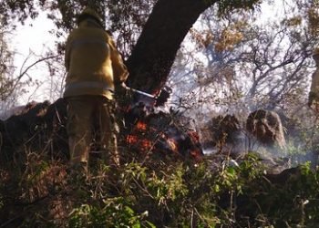 Fuego en cordoba