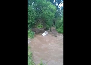Video de vecina