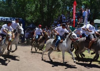 Rally burros