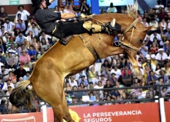 Gentileza edu estevez