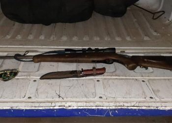 El rifle