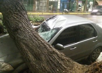 Gentileza nacho cadario