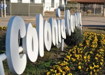 Colonia caroya