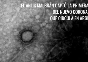 Covid argentino