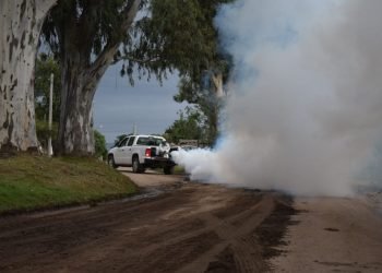 Dengue