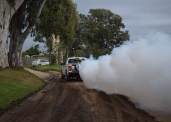 Fumigacion dengue