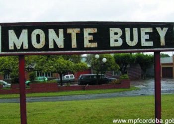 Monte buey