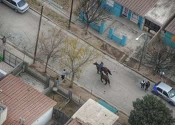 Caballos