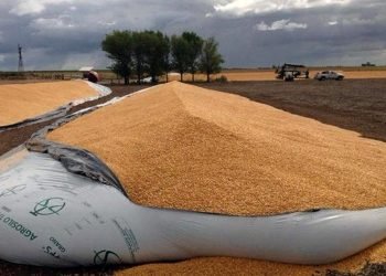 Gentileza infoagro